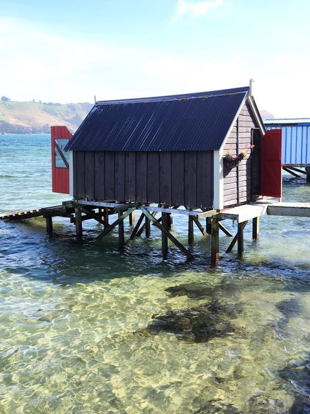 Image 1 of 19