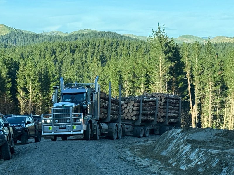 McIndoe Logging Ltd Carousel 8