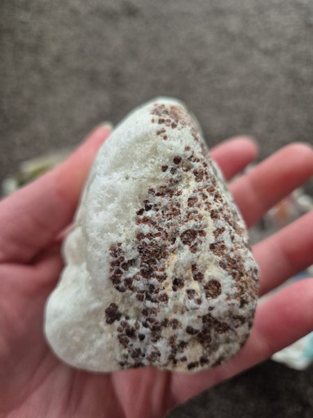 Garnets In Quartz, Westland Carousel 2