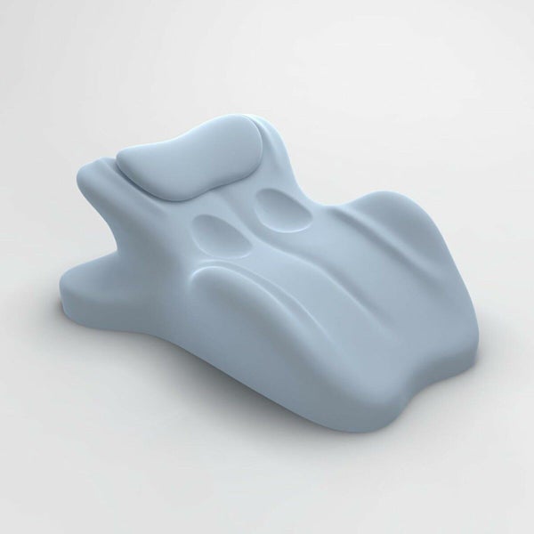 Sweet Spot Pillow Contoured Support Pillow Memory Foam Support Cushion Carousel 1