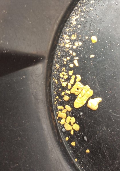 Gold claim Carousel 4