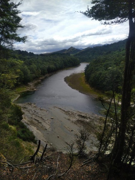 Gold claim Carousel 2