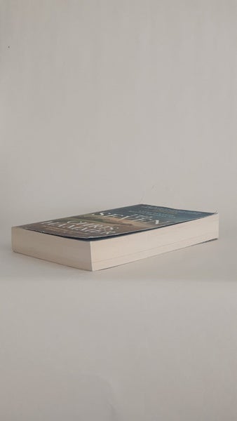 The Seven by Chris Hammer Carousel 2