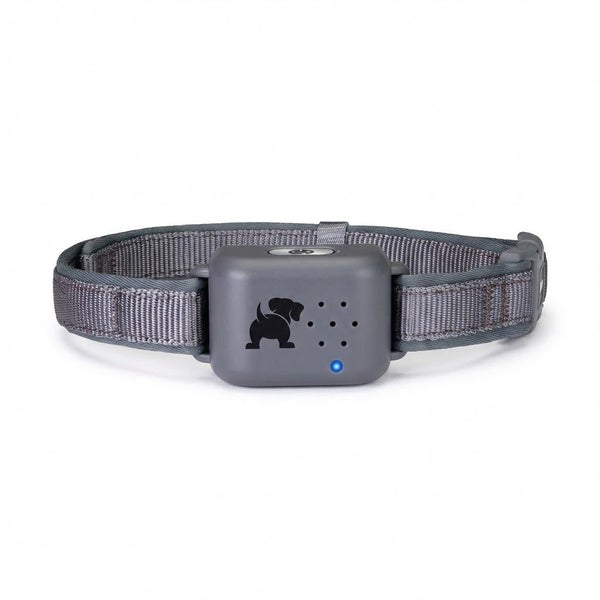 Pavlov Digital No Bark Dog Collar Small Carousel 1