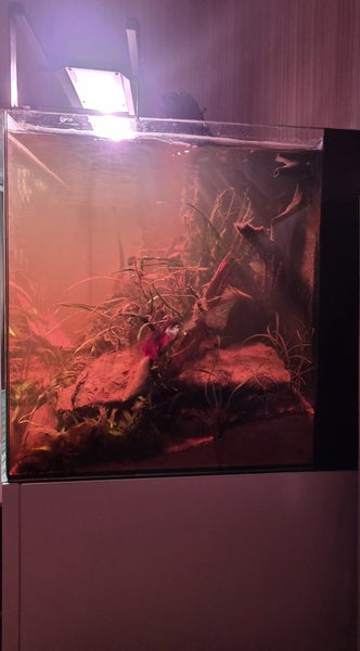 Full Aquarium Set Up + Extras Carousel 1