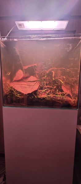 Full Aquarium Set Up + Extras Carousel 2