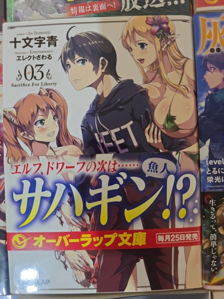 Bulk - Grimgar of Fantasy and Ash (60+ Books) Carousel 2