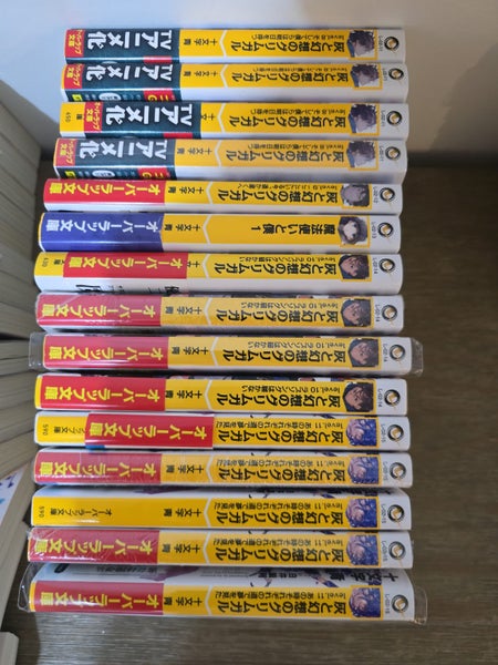 Bulk - Grimgar of Fantasy and Ash (60+ Books) Carousel 5