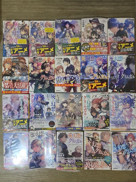 Bulk - Grimgar of Fantasy and Ash (60+ Books) Carousel 1