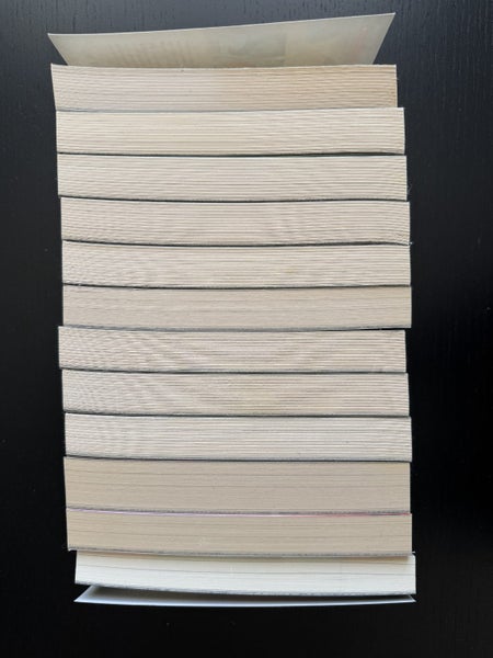 Tui T. Sutherland "Wings of Fire "paperbacks collection x 12 Carousel 3