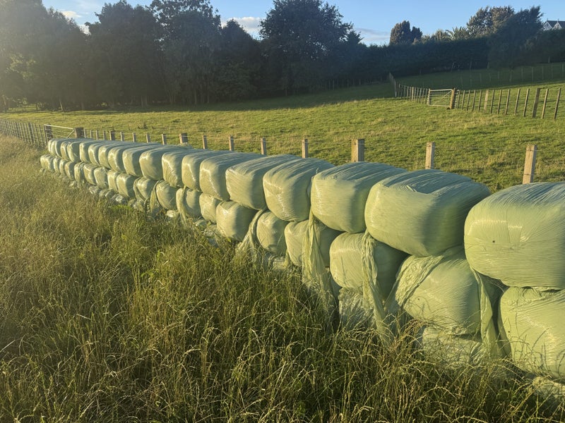 Small silage bales Carousel 1