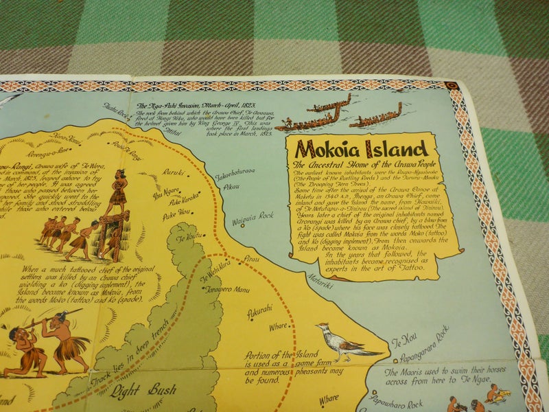 Awesome Vintage NZ Pictorial Map Mokoia Island New Zealand Carousel 2