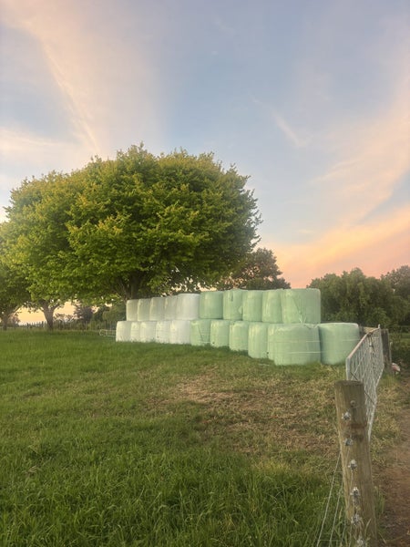Silage Bales Carousel 1