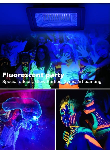 Black Light NZ Clearance Carousel 9