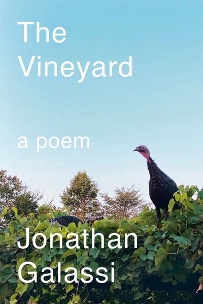 The Vineyard by Jonathan Galassi - Hardcover Carousel 1