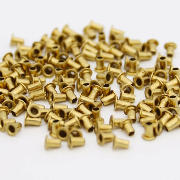 1000Pcs Beekeeper Beekeeping Beehive Bee Hive Brass Frame Eyelets Equipments Carousel 2