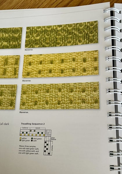 The Weavers Idea Book by Jane Patrick Carousel 2