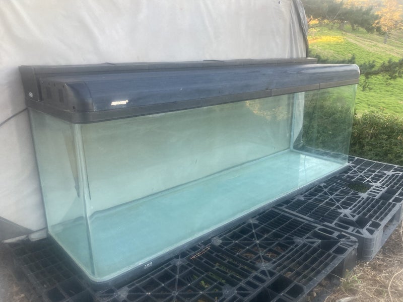 Huge 1.8 metre long Aquaone 180 Fish tank - 540 litres Carousel 1