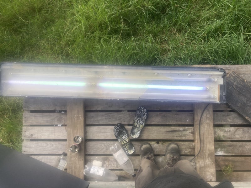 Huge 1.8 metre long Aquaone 180 Fish tank - 540 litres Carousel 20