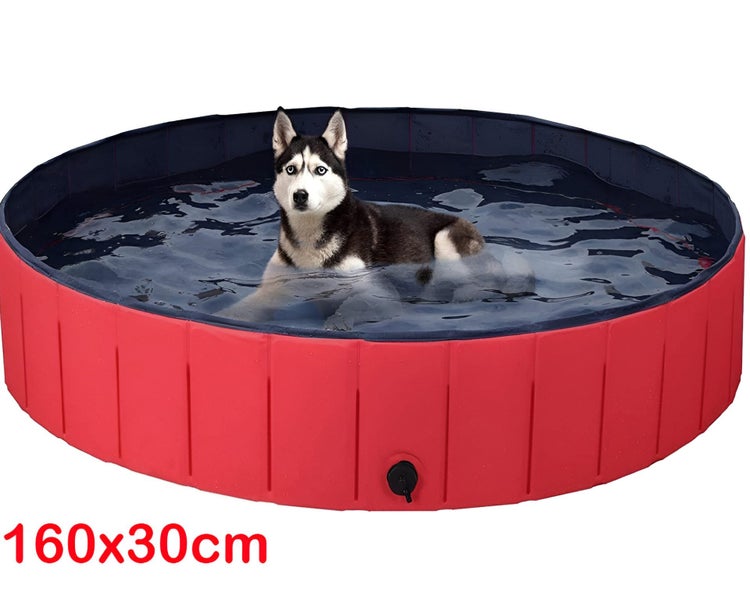 Pet Dog Bath Tub Swimming Pool (OVER STOCKED) Carousel 1