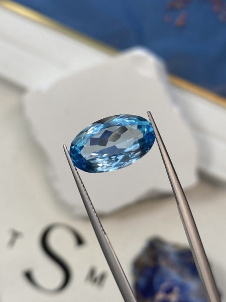 $1RES ~ $2000 Buy Now * 12.27ct Swiss Blue Topaz Carousel 6