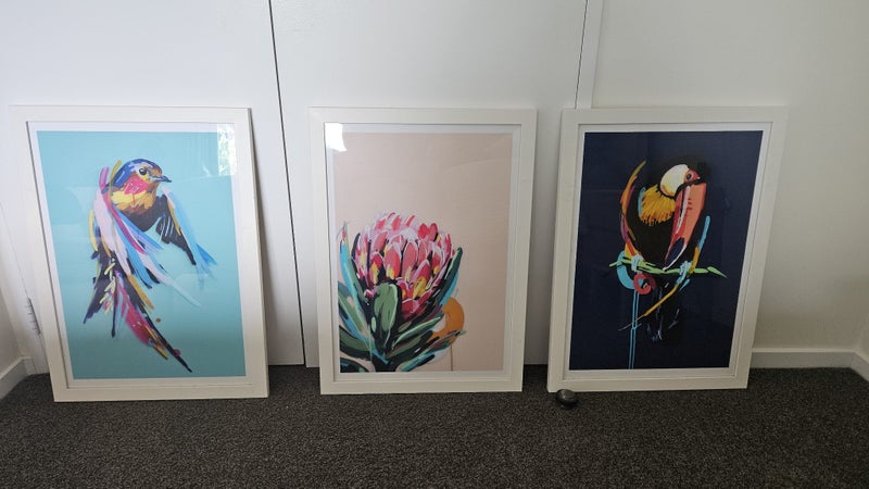 Jen Sievers - Framed prints x3