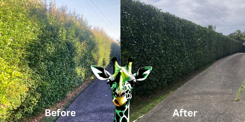 Garden Maintenance Services Carousel 1