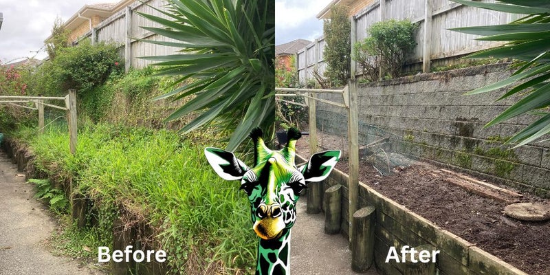 Garden Maintenance Services Carousel 2