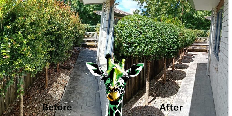 Garden Maintenance Services Carousel 6