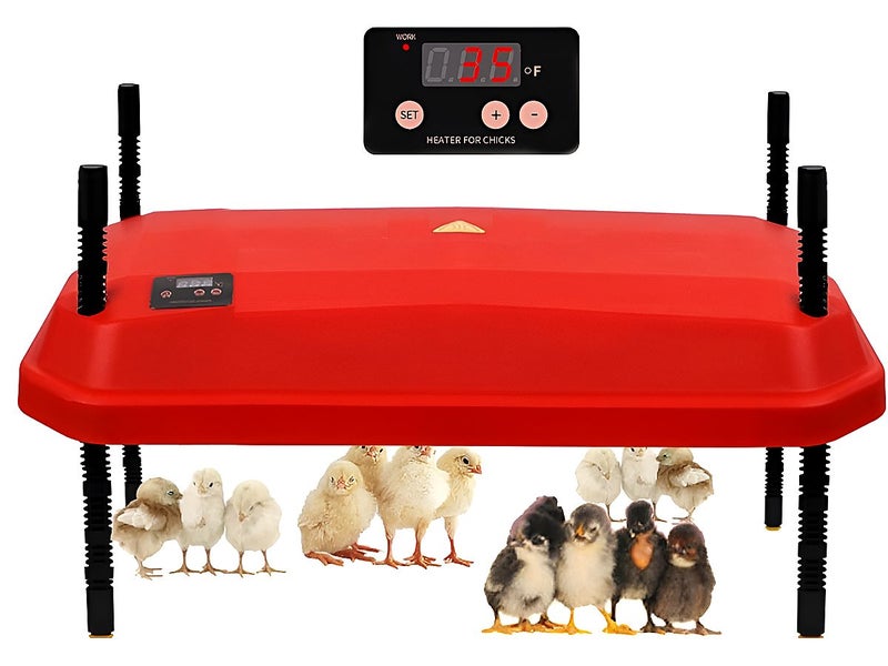 Brooder Heat Plate - (NZ Clearance) Carousel 1