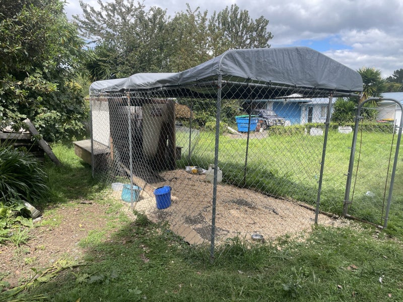 Chicken coop & run $1R just add chickens! Carousel 2