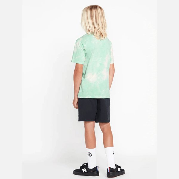 Volcom Frickin Elastic 15" Boys Shorts - Navy Carousel 2