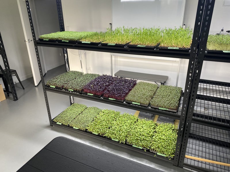 Commercial Scale Microgreens Production Carousel 1