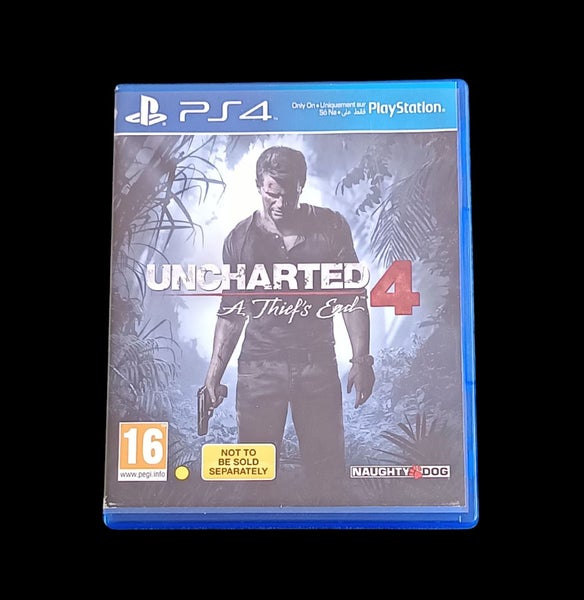 Uncharted 4 A Thiefs End PS4 Carousel 1