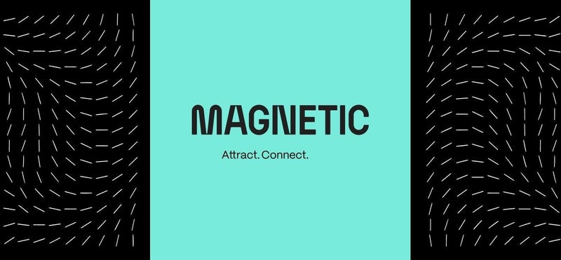 Magnetic Carousel 1