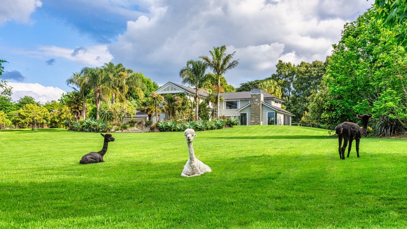 Hamptons Haven: Luxury Living on Four Acres