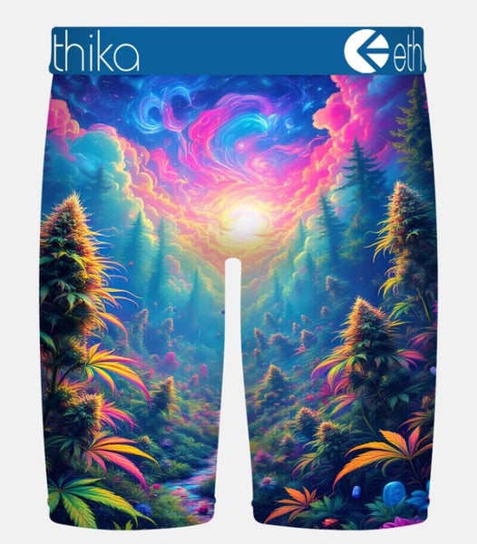 Ethika Indica Dreams Mens Staple Boxers Carousel 2