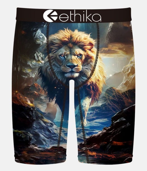 Ethika Lion Hearted Staple Boys Boxers Carousel 1