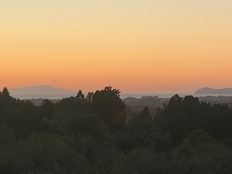 Image 2 of 47