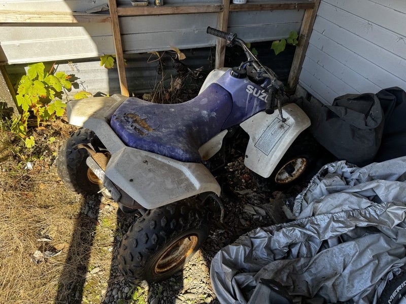 Suzuki Quad Bike Carousel 1