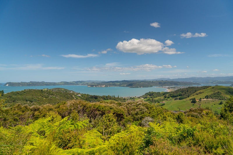 Image 1 of 14