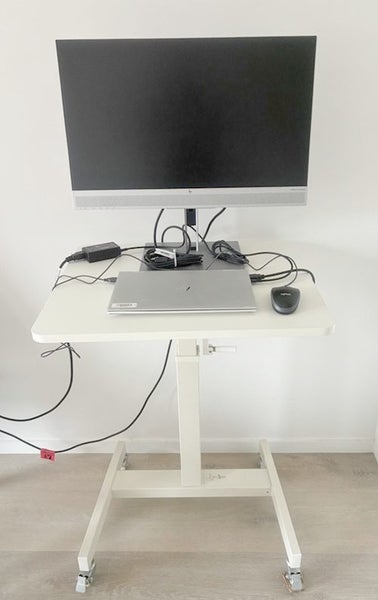 Mobile Standing Desk portable laptop desk Carousel 2