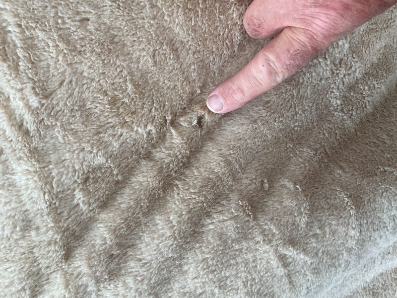 Large Dog Bed Carousel 2