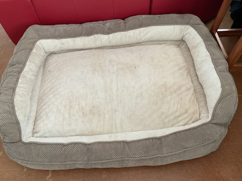 Large Dog Bed Carousel 1