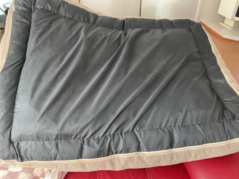 Large Dog Bed Carousel 4