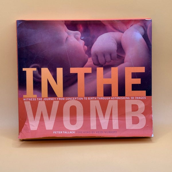 In the Womb by Peter Tallack