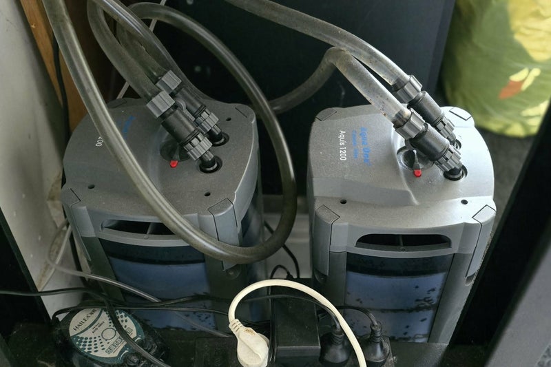 Large fish tank complete set up Carousel 4