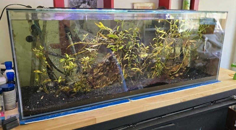 Large fish tank complete set up Carousel 1