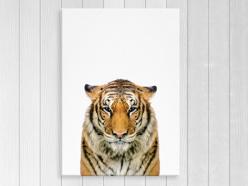 Tiger - Contemporary Art - Kids, Nursery Art - Canvas Print - Artwork - A2 Carousel 1