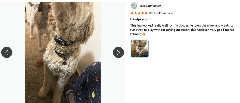 Dog Training Collar for 2 dogs NZ Clearance Carousel 8